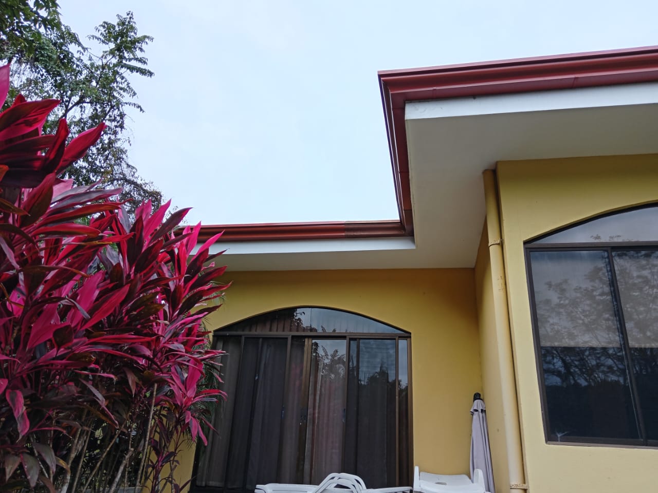 Detalle de canoa color vino con jardín tropical